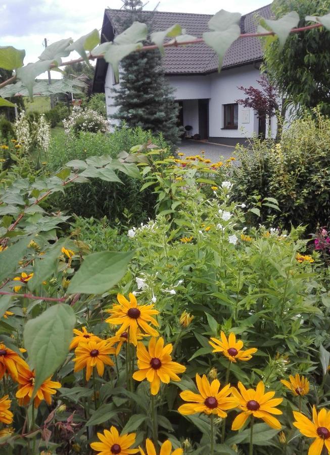 Apartament Leszczynowa 7 Blisko Zatora Spytkowice  Buitenkant foto